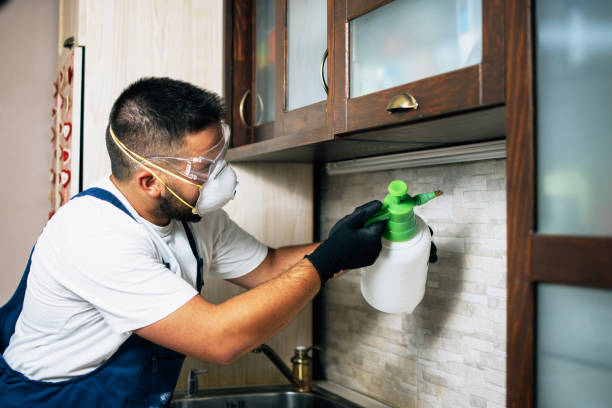 Best Ant Control Services  in Stockbridge, GA