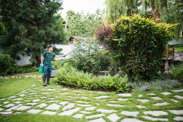 Best Pest Removal Services  in Stockbridge, GA