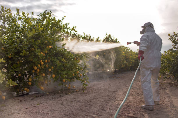 Best Wildlife Control Services  in Stockbridge, GA