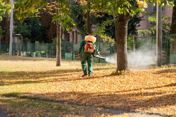 Professional Pest Control in Stockbridge, GA