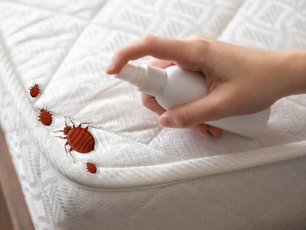 Best Affordable Pest Control Services  in Stockbridge, GA
