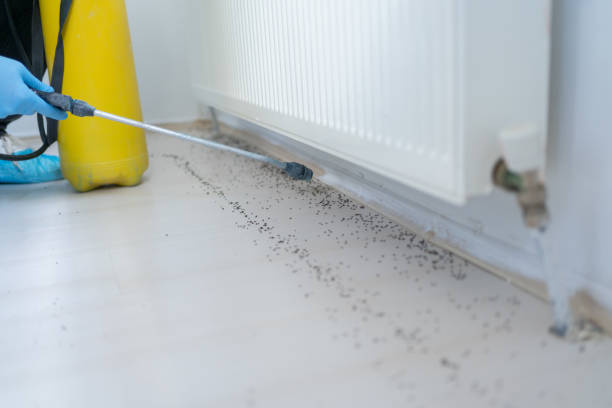 Best Best Pest Control Companies  in Stockbridge, GA