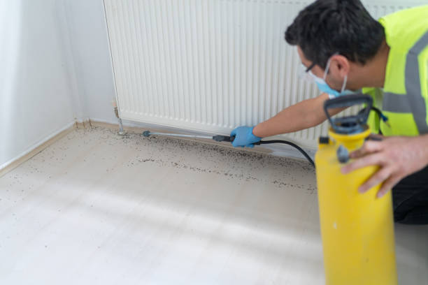 Best Commercial Pest Control Services  in Stockbridge, GA