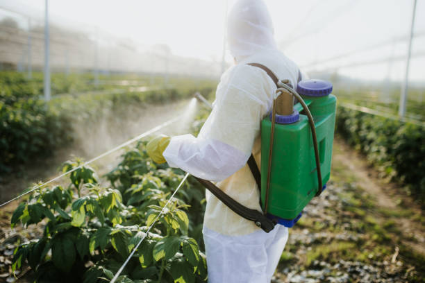 Best Flea Control Services  in Stockbridge, GA